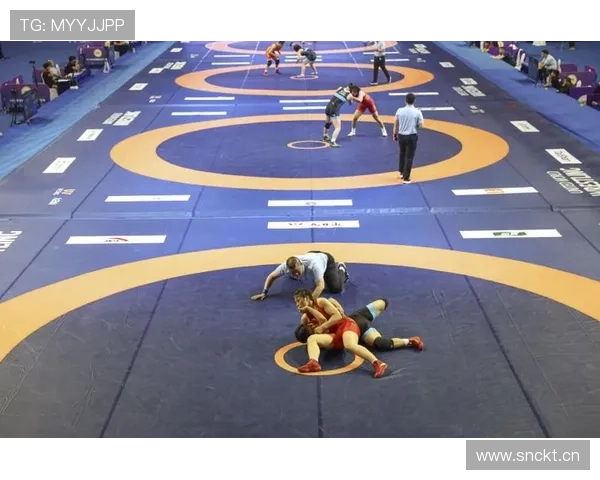 摔跤比赛裁判规则解析与应用实践详解 摔跤比赛裁判规则解析与应用实践详解